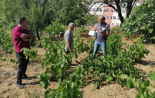 Tekirdağ'da Çeşitli Çalışmalar Devam Ediyor