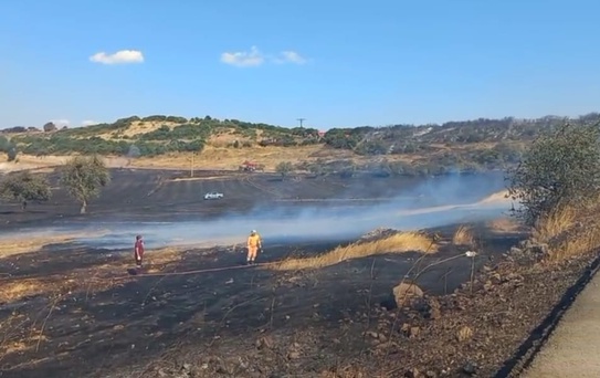 Balıkesir'de Arazi Yangını Kontrol Altına Alındı