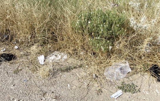 Gölhisar Gölü'nde Çevre Kirliliği Tepkisi