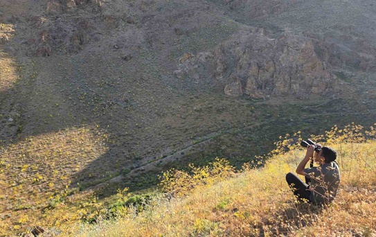 Van'da Yaban Hayatı Gözlemleri