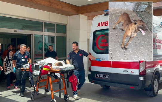 Sahibinden kaçan köpek, 3 yaşındaki çocuğu ağır yaraladı