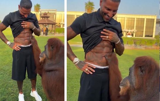 Orangutan, Quaresma’nın kaslarına hayran kaldı