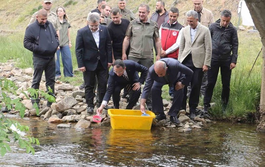 Ordu’da 35 bin doğal alabalık dereye bırakıldı
