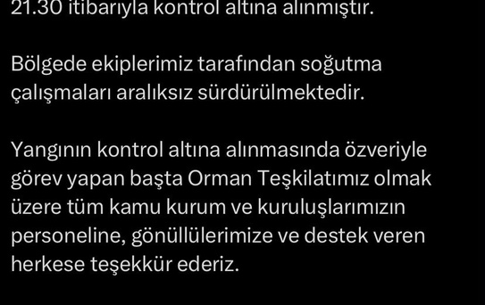 Biga'da Yangın Kontrol Altına Alındı