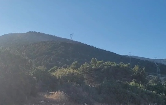 Eğirdir’deki orman yangını kontrol altına alındı: 10 hektar alan zarar gördü