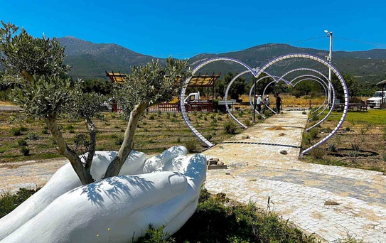 Fotoğraf tutkunları Söke’de lavanta bahçesine akın edecek