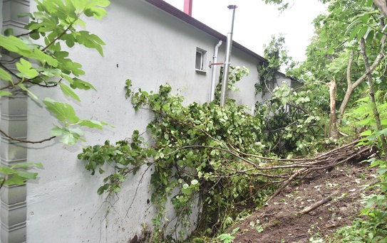 Giresun'da Heyelan Evi Hasara Uğrattı