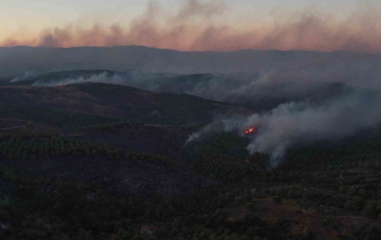 Tıfıllar Köyü’ndeki yangının boyutu gün ağırınca ortaya çıktı