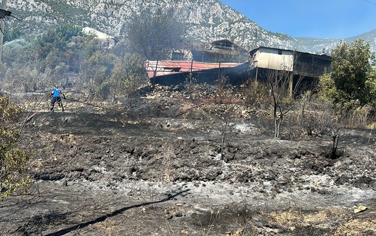 Akseki'de Orman Yangını Kontrol Altına Alındı