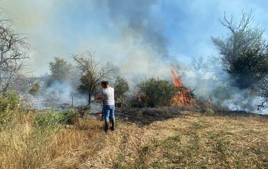 Çankırı’da örtü yangını ağaçlık alana sıçradı