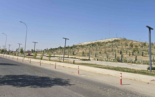 Ceylanpınar'da Güvenlikte Yeni Düzenleme