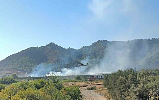 Dalaman'da Tarım Arazisinde Yangın Kontrol Altına Alındı