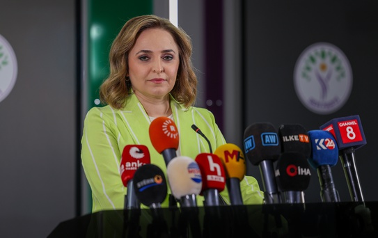 Ayşegül Doğan'dan Yasa Açıklamaları