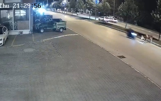 Motosikletlinin önüne bir anda çıktı: Zavallı hayvan olduğu yerde can verdi