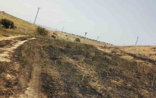 Muradiye'de Anız Yangını Kontrol Altına Alındı