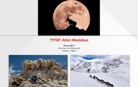 Niğde'de Fotoğraf Yarışması Sonuçlandı