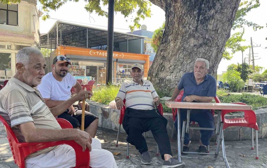 Osmaniye'nin Doğal Kliması: 260 Yıllık Çınar