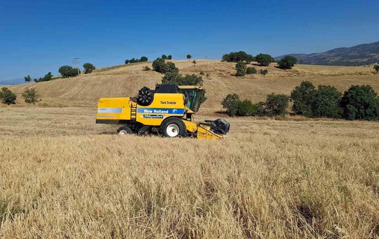 Sarıgöl'de Hasat Sezonu Gecikti