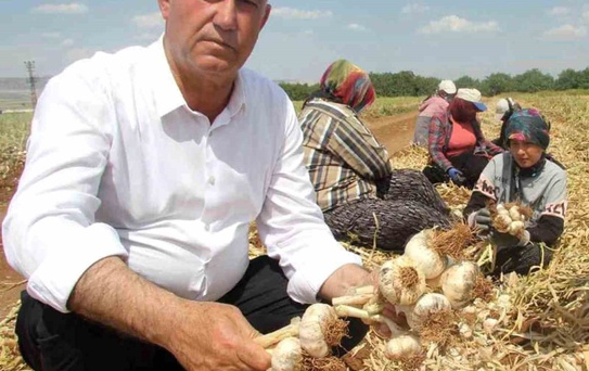 Tarımın Geleceği İçin Kalıcı Destek Şart