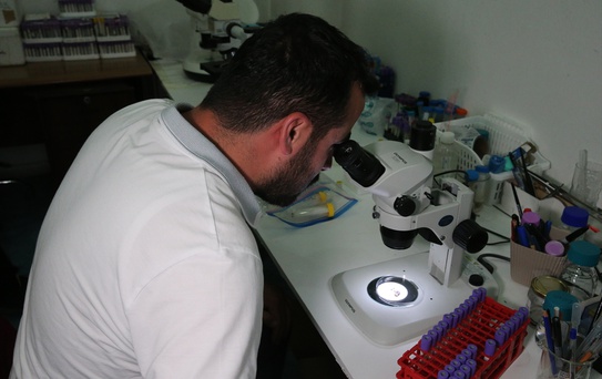 Keneler ve Taşıdığı Hastalıklar