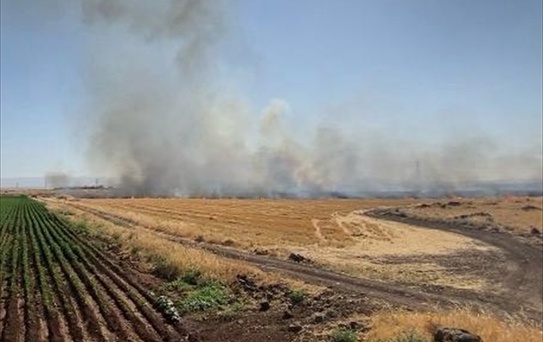 Diyarbakır'da Anız Yangını Kontrol Altına Alındı