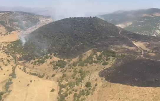Karakoçan'da Orman Yangını Söndürüldü