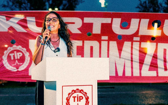Sera Kadıgil'e Soruşturma Tepkisi