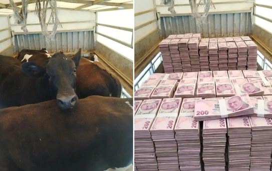 Düştüğü not manidar! Kayserili besicinin paylaşımına bakın