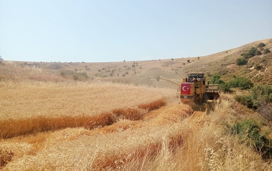 Biçerdöver Denetimleri Sürüyor