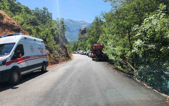 Tunceli'de Yangın Kontrol Altında