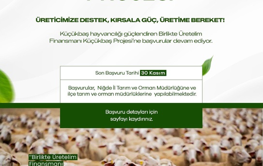 Küçükbaş Projesi Başvuruları Devam Ediyor