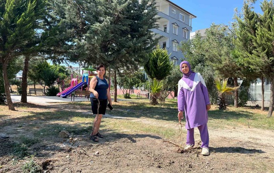 Parktaki ağaçların sökülmesine vatandaşlardan tepki