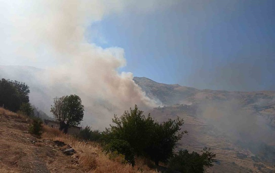 Pütürge’deki arazi yangınına müdahale sürüyor
