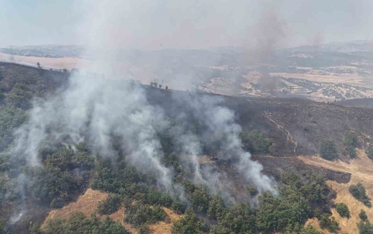 Tunceli’de orman yangını: Havadan ve karadan müdahaleye başlandı