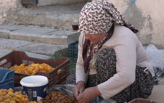 Kayısı Üreticileri Yükselen Maliyetlere Tepki Gösterdi