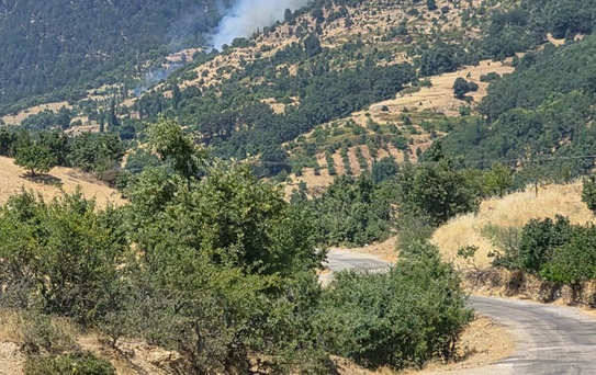 Aydın'da Tarım Arazisinde Yangın