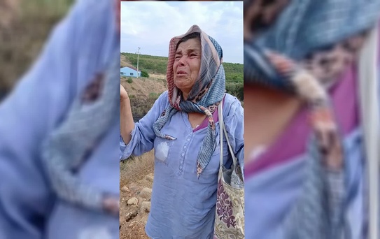 Aydın'da Zirai Yangın: 50 Dekar Arazi Yandı