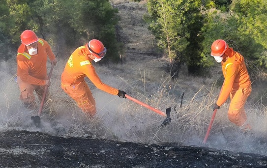Pamukkale'de Yangın Kontrol Altında