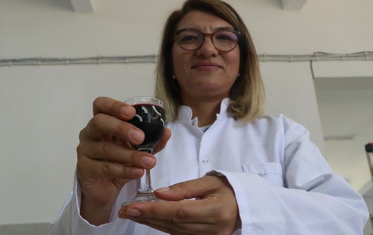 Yalova'da Meyve Suyu Tesisi Açıldı