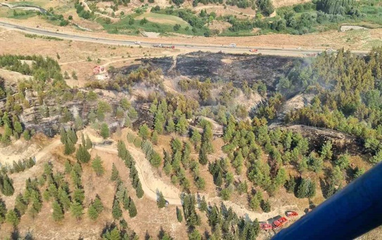 Yol kenarında başlayıp ormana sıçrayan yangın hızlı ve etkin müdahaleyle büyümeden söndürüldü