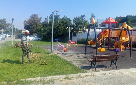 Burhaniye'de Park ve Yeşil Alan Bakımları Sürüyor