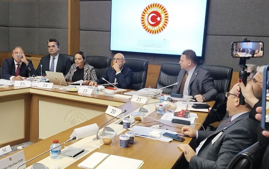 Ayyüce Türkeş'ten MHP'ye sert sözler! Komisyonda ortalık bir anda karıştı