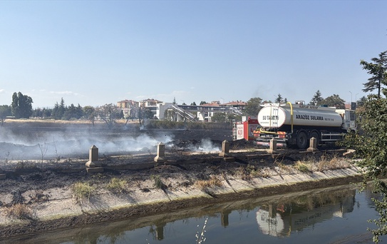 Eskişehir'de Otluk Alanda Yangın