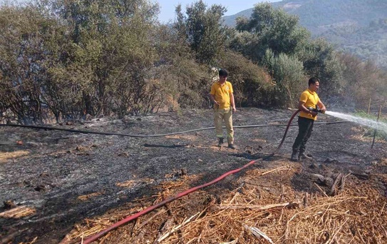 Milas Bafa’da tarım arazisindeki yangın söndürüldü