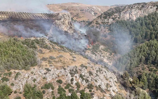 Hatay’daki orman yangını kontrol altına alındı