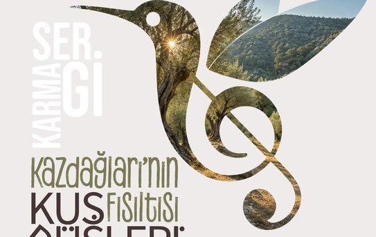 “Kaz Dağları’nın Fısıltısı Kuş Düşleri” Sergisi kapılarını açıyor