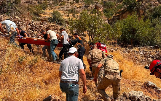 Güçlükonak'ta Ağaçtan Düşen Adam Ağır Yaralandı
