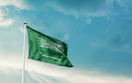 Riyad'da Mobilya Fabrikasında Yangın: 16 Ölü