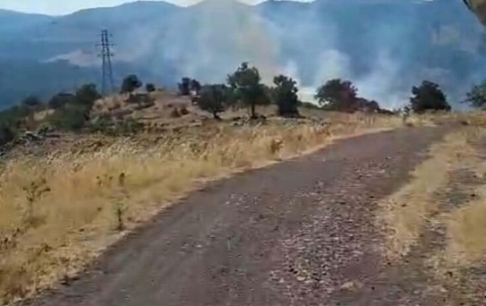 Ayvalık'ta orman yangını 1,5 saatte söndürüldü
