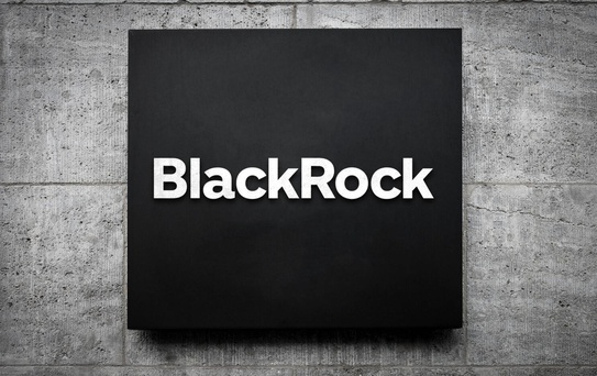 BlackRock'tan karma ETF: Hisse ve Bitcoin bir arada